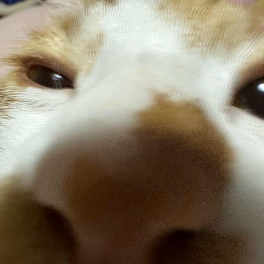A傅等等