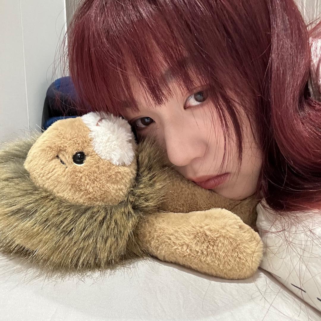 吃饭睡觉💤
