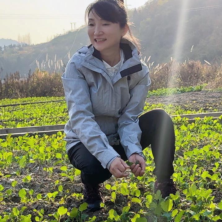武当黄精姐