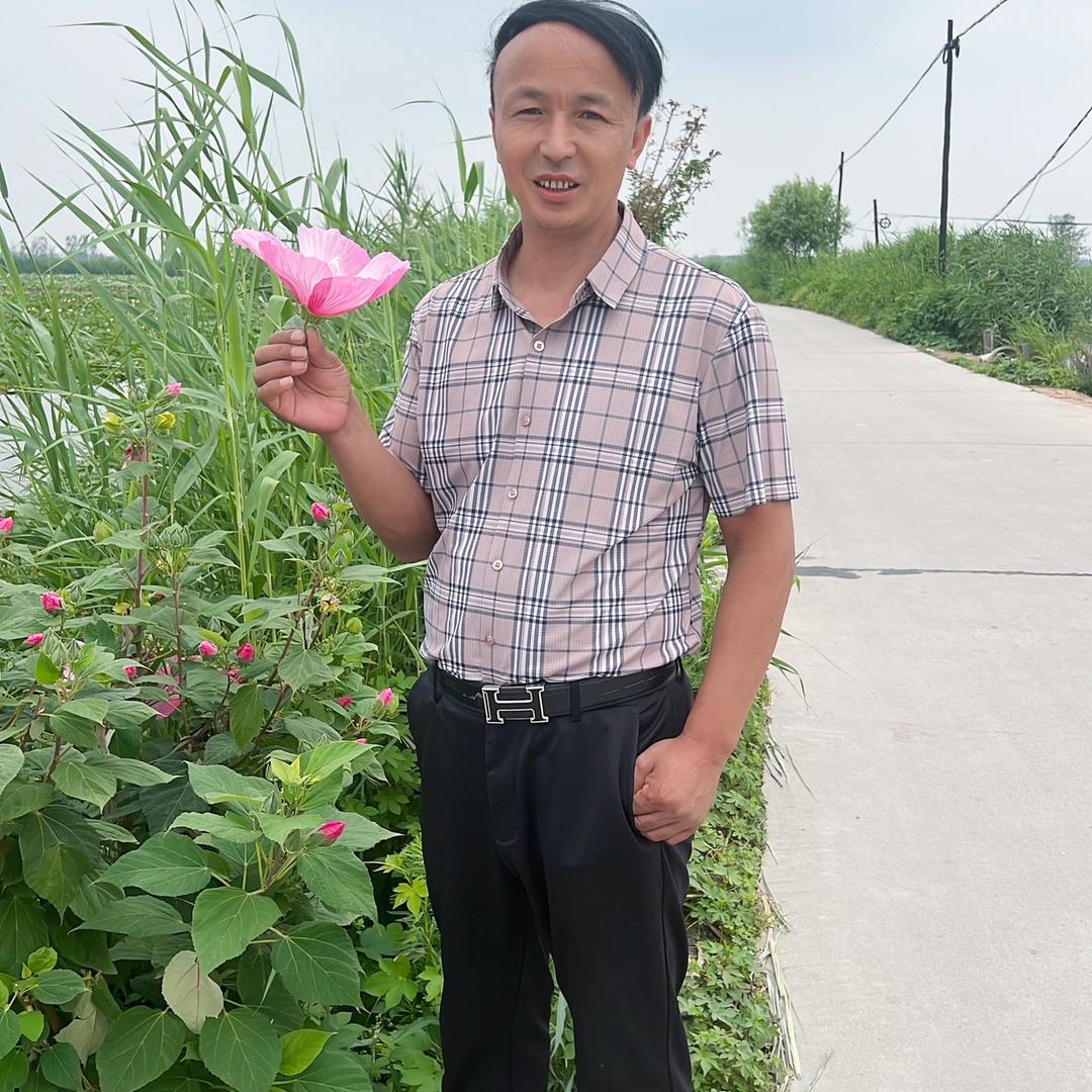 老明