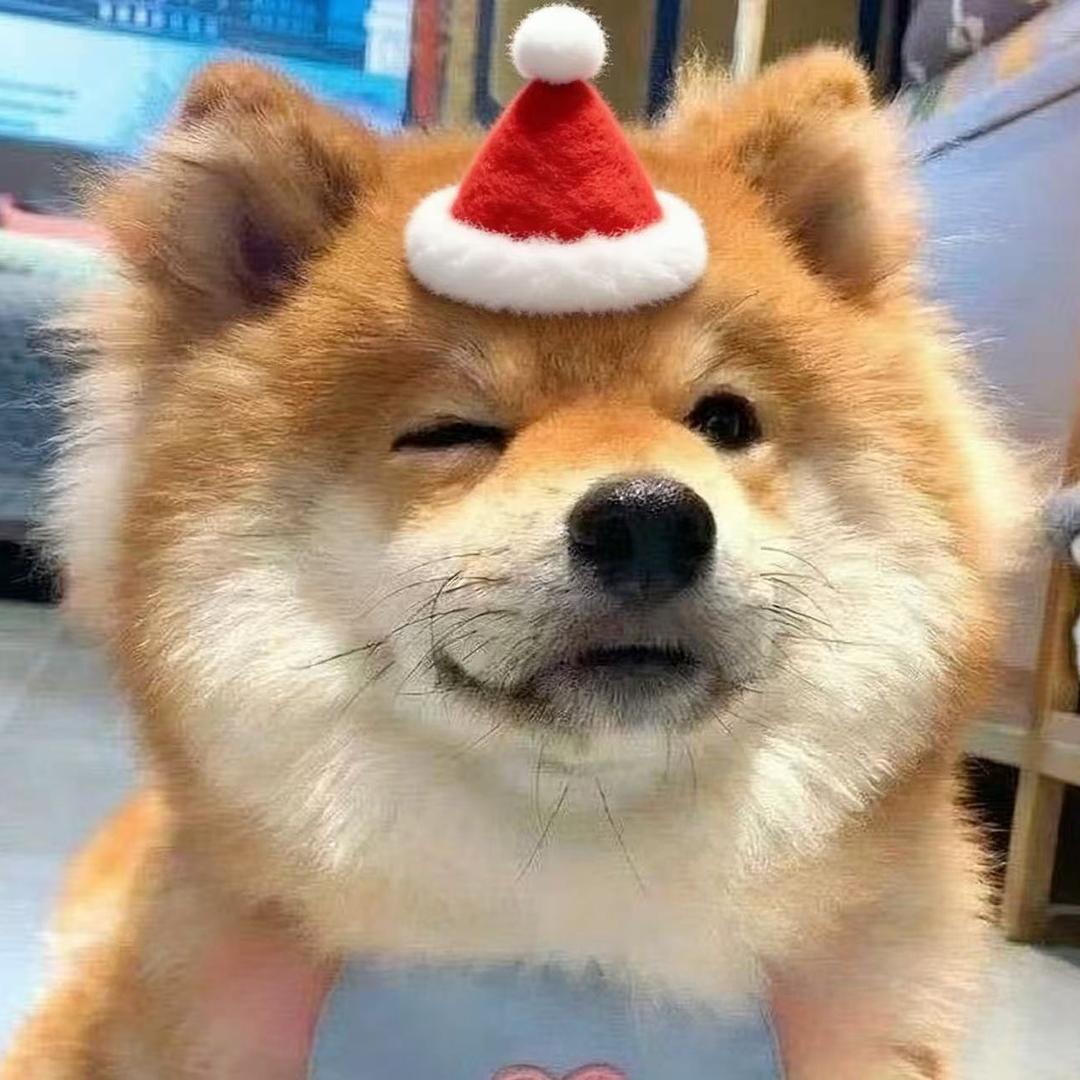 碧晨的晨曦男孩