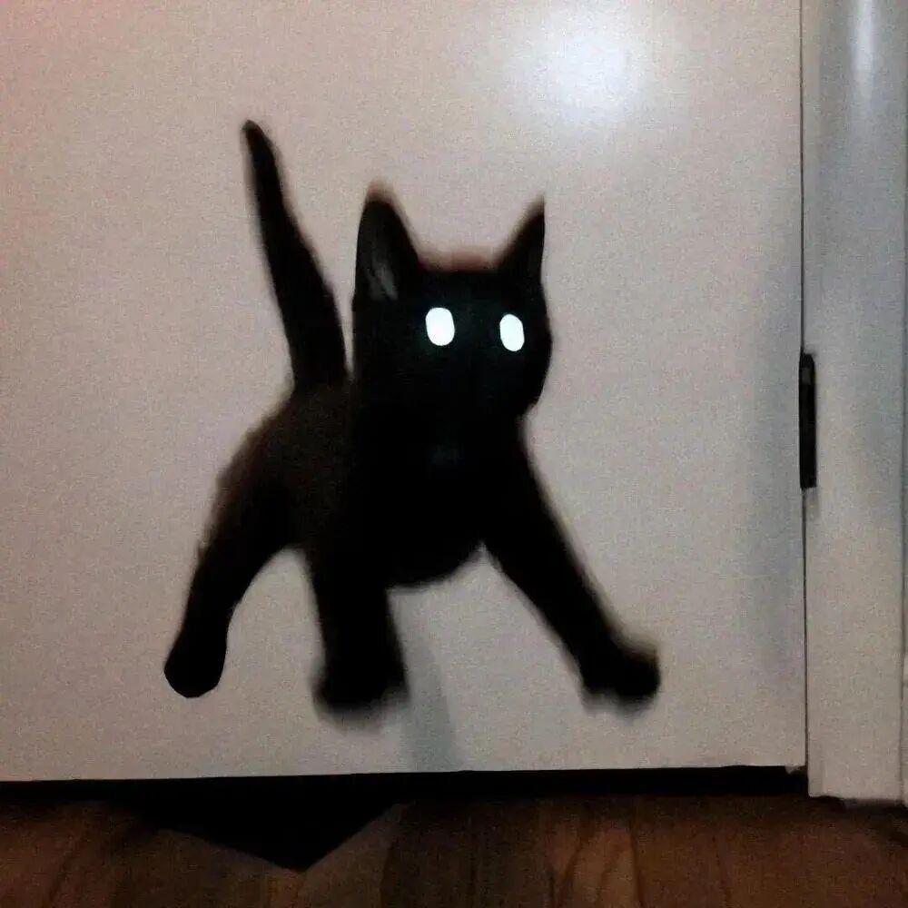 不醒