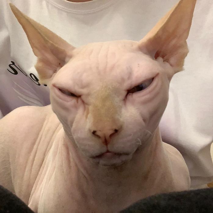 眯眼胡