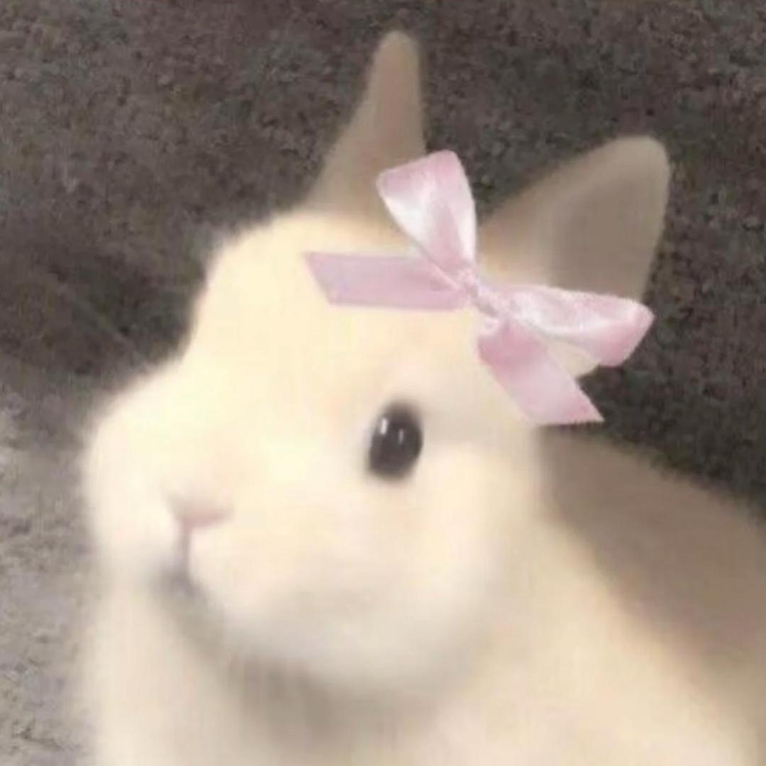 新二.