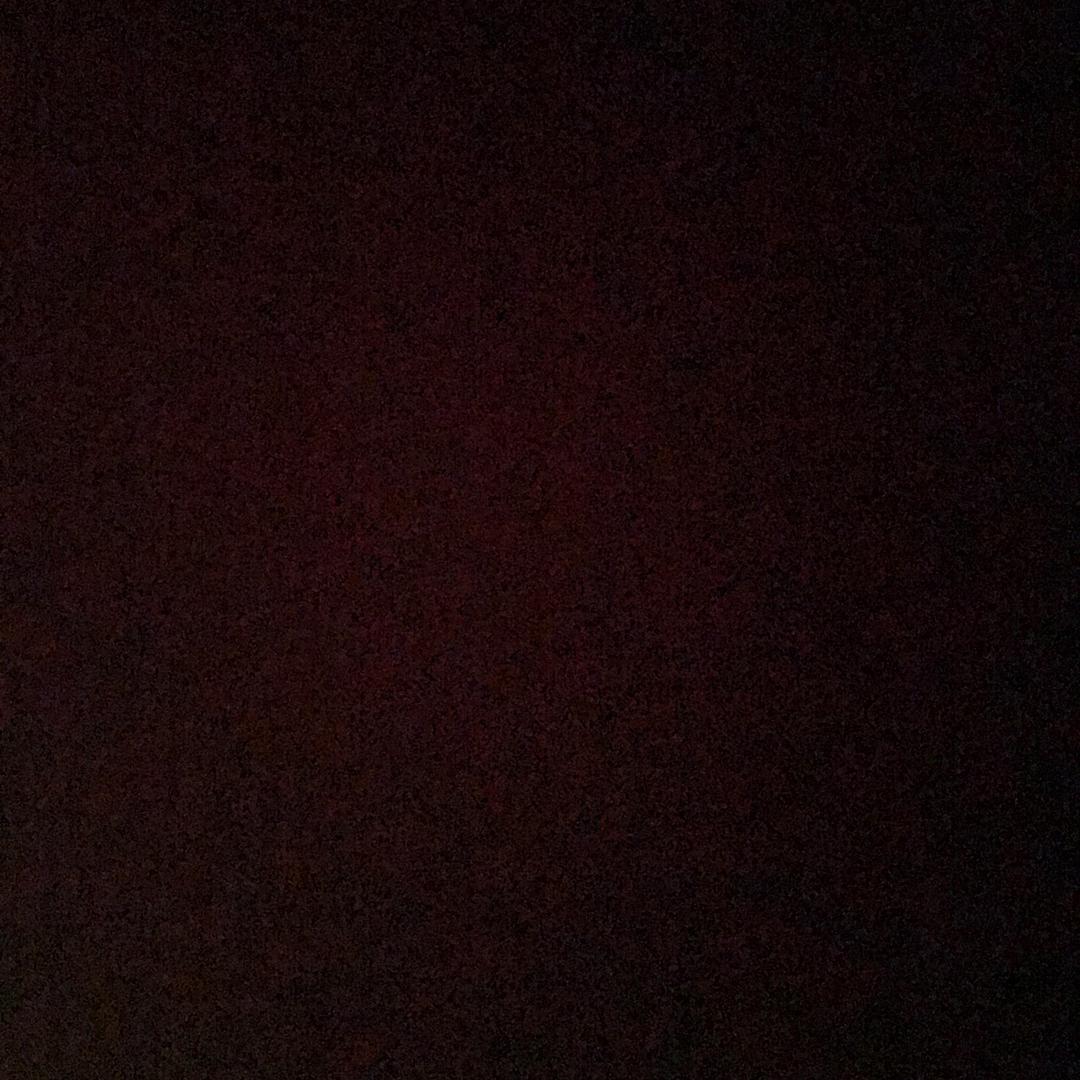 s13468
