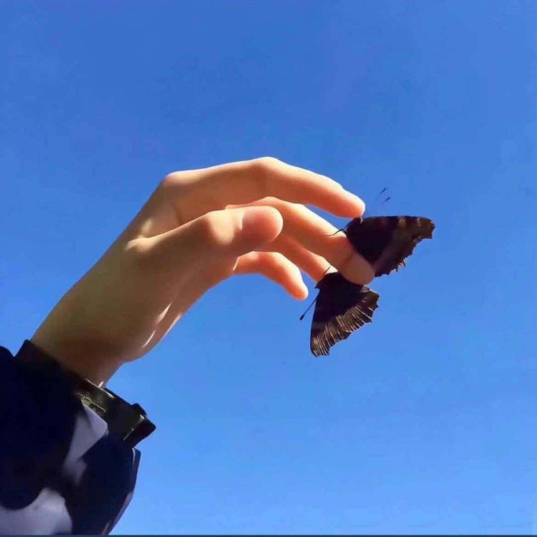 樂c