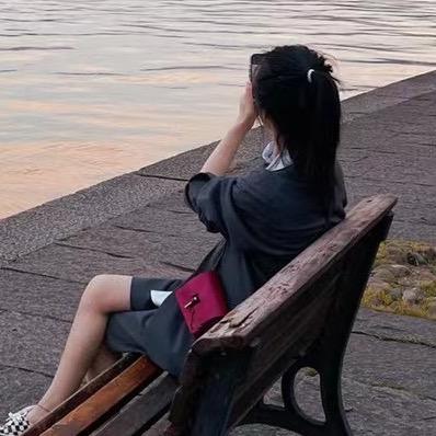 小璟鹅