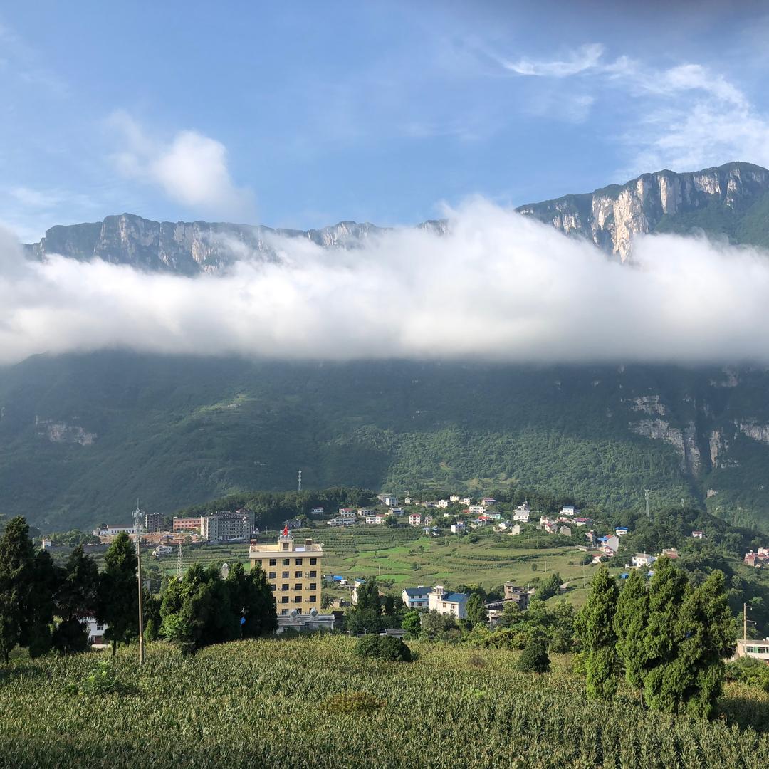 🔴龙行天下🔴