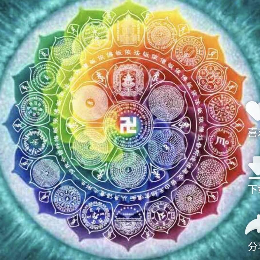 心平气荷🪷