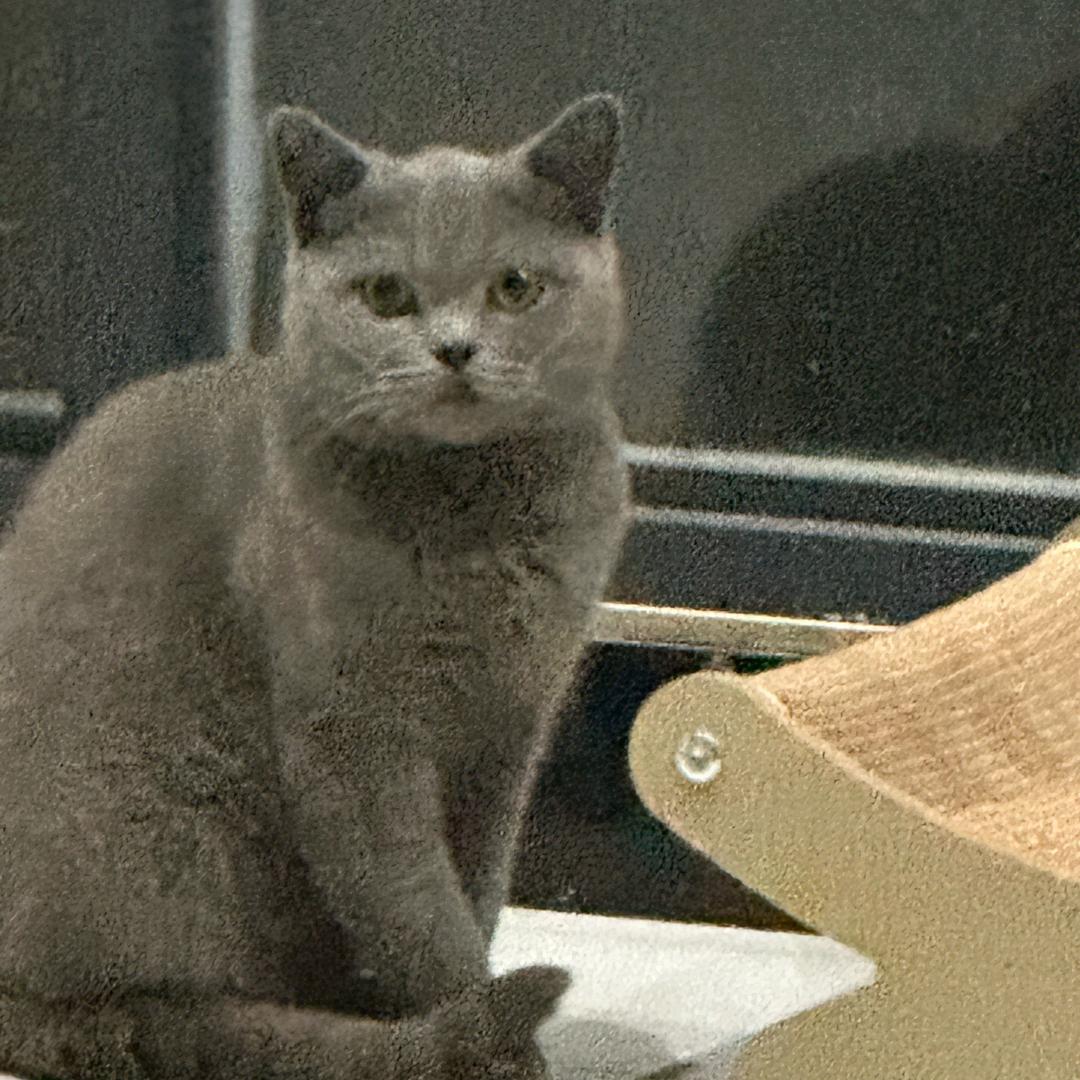 华灯初下，她以泪洒青楼！😍