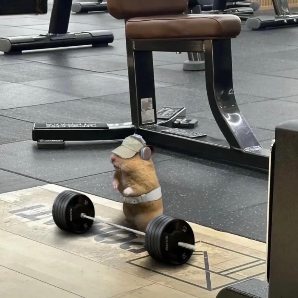 老壳