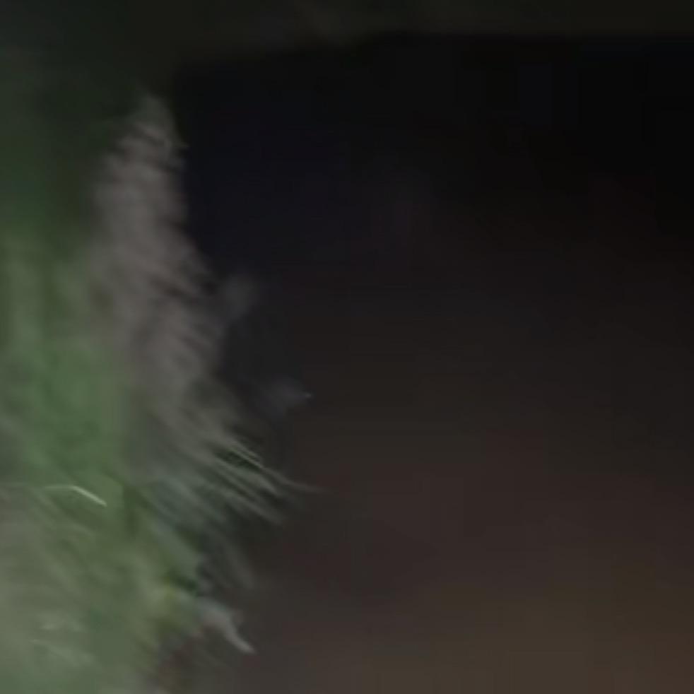 户外二哥