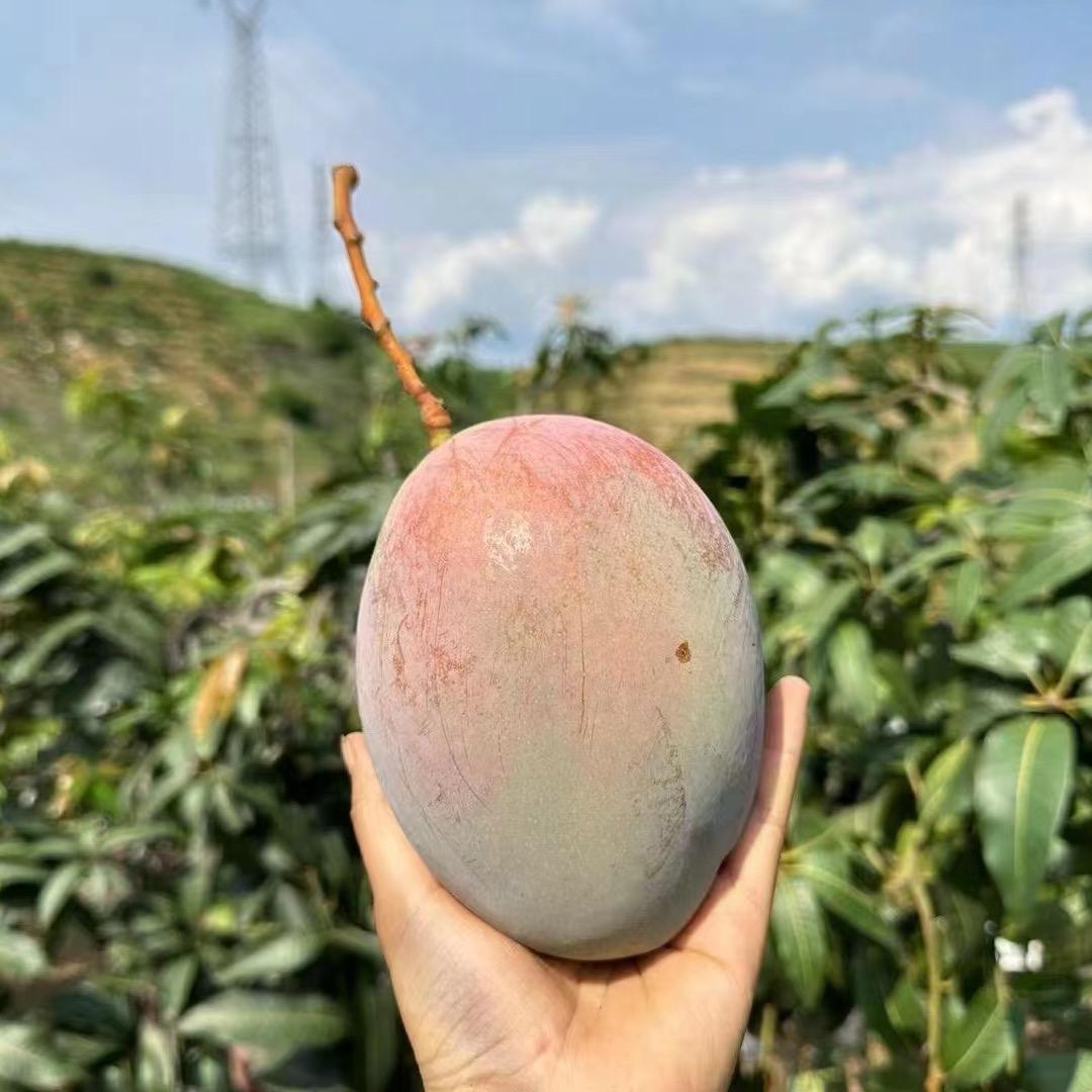 我是大彬