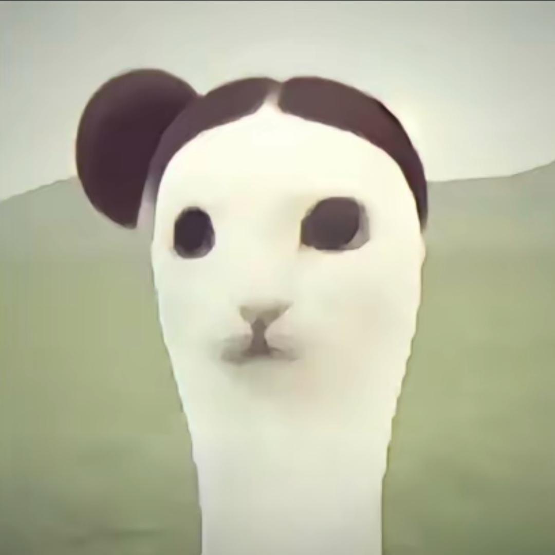 粘死你豆包🫘