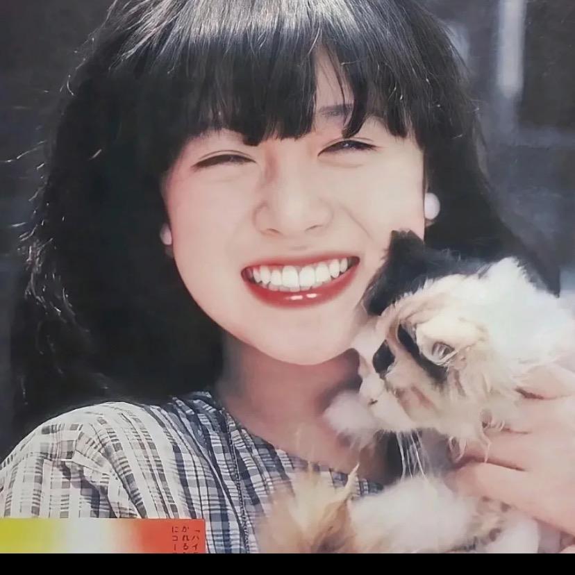 元气小力