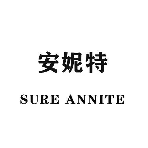 安妮特轻奢女鞋