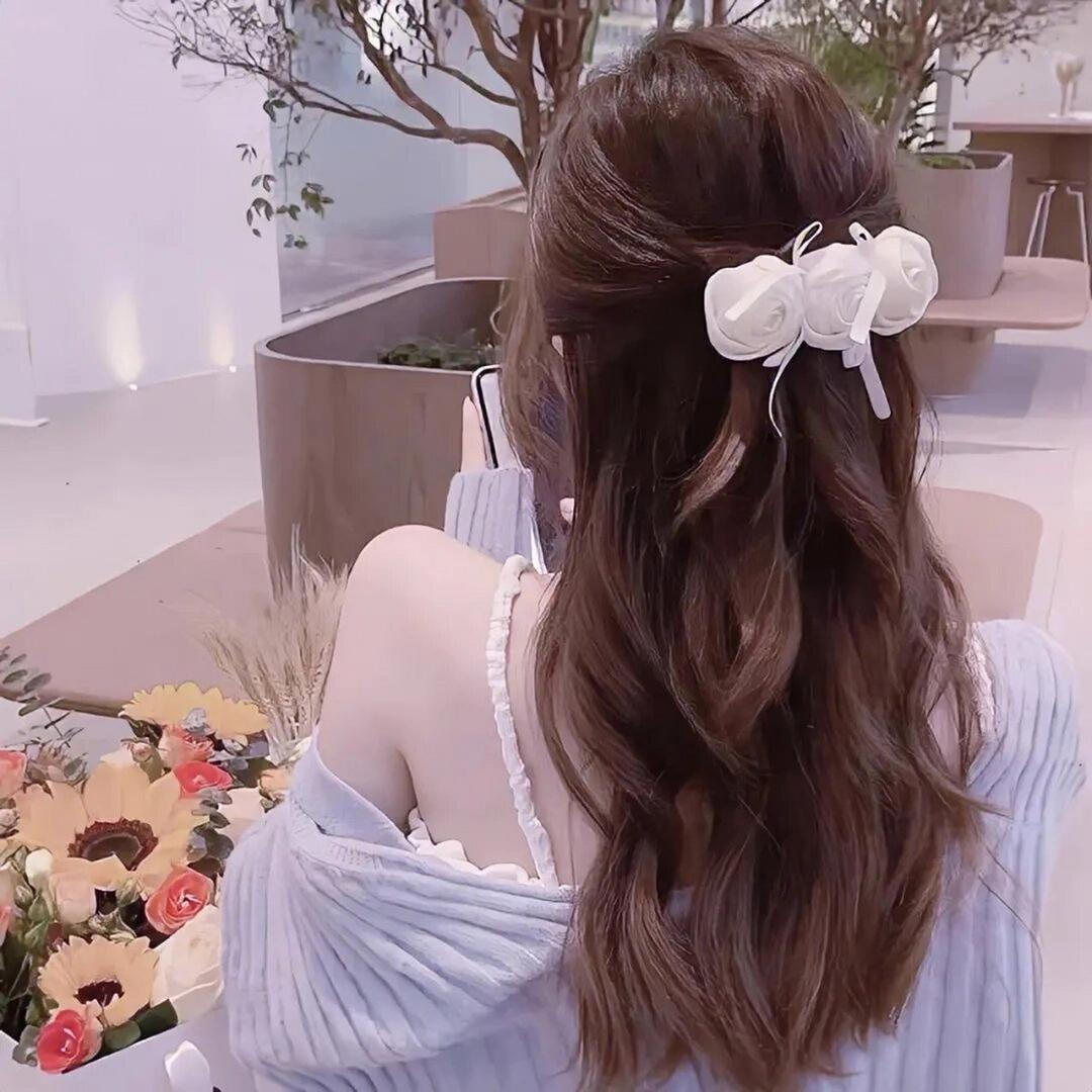 安季锦鲤