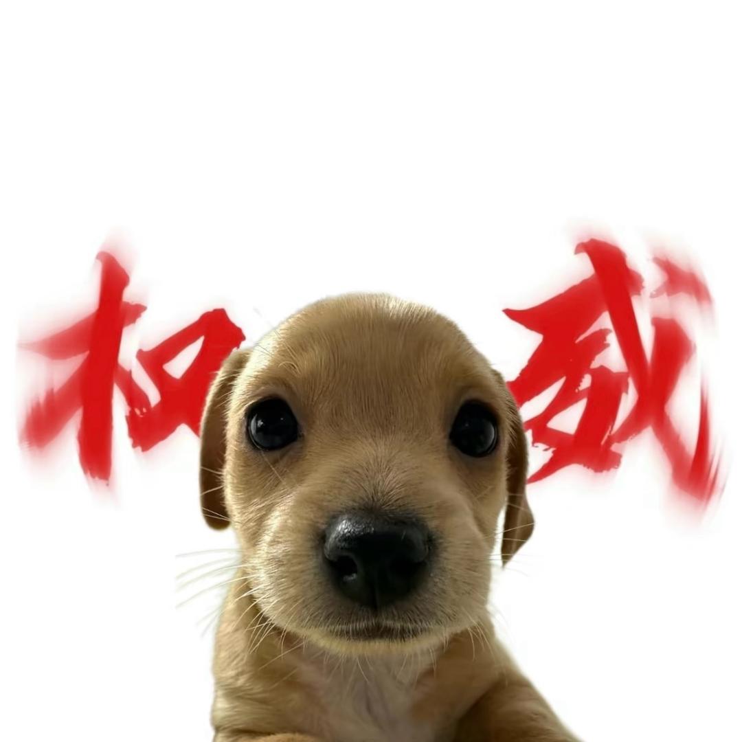 羊羊羊（三角洲行动）