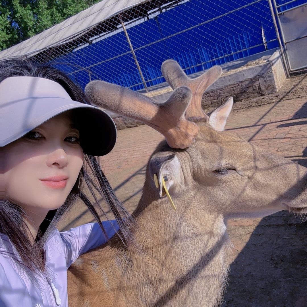 东北鹿乡鑫茸堂滋补