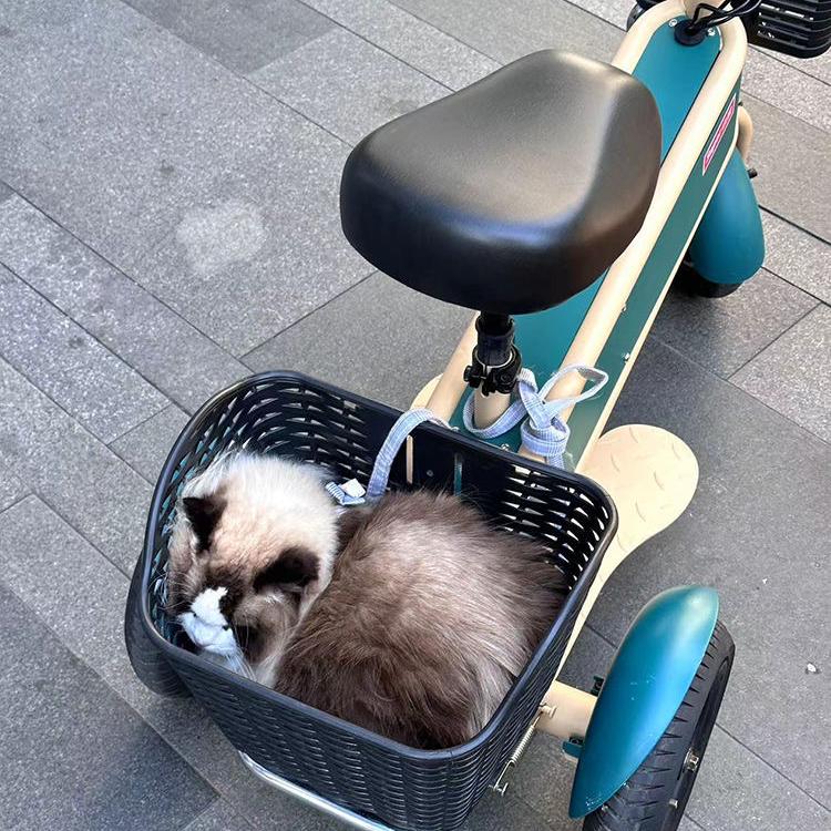 Super小蛙_野望六号