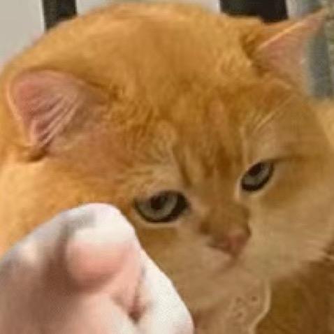 🌪️不让我学习我就跳海