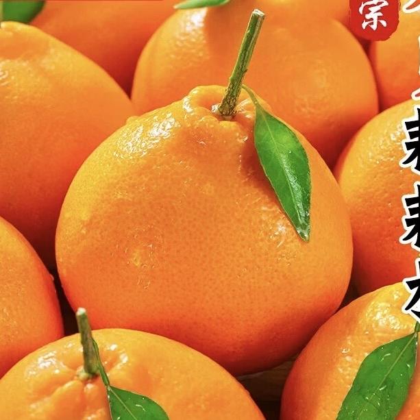 优宏生鲜