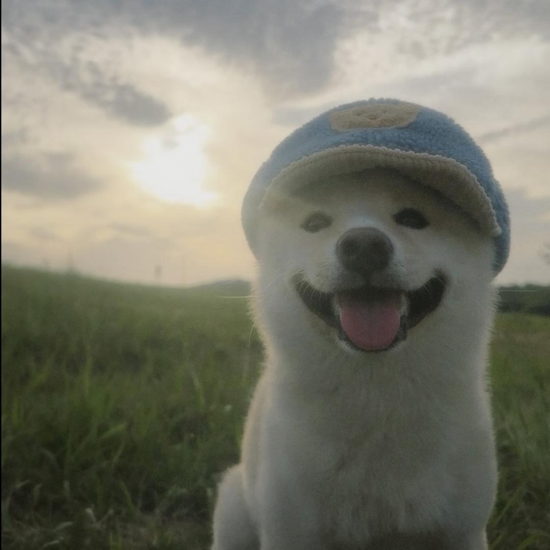 一只小鹿·