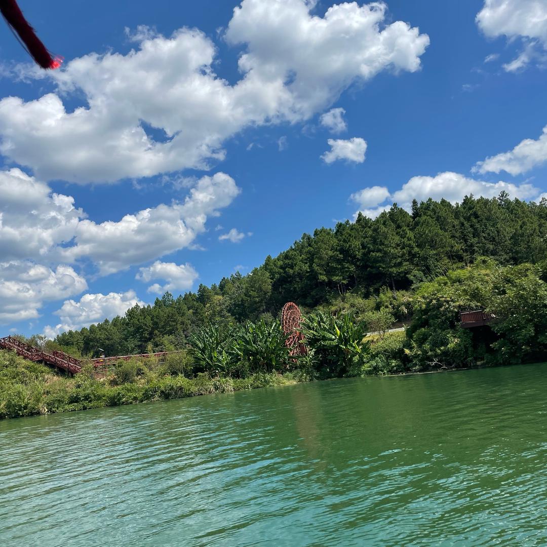 每天都要早起🌞