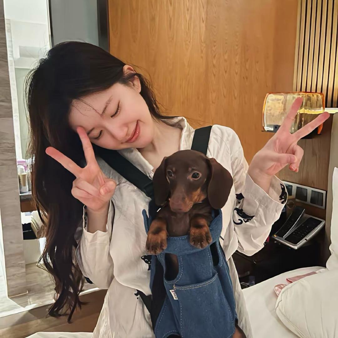 汉堡包爱吃炸鸡🍔