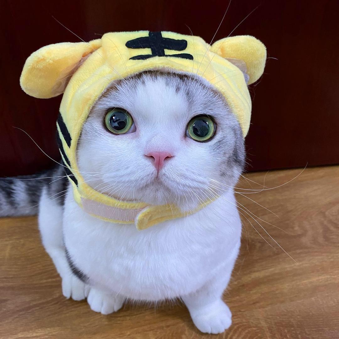 酸奶，