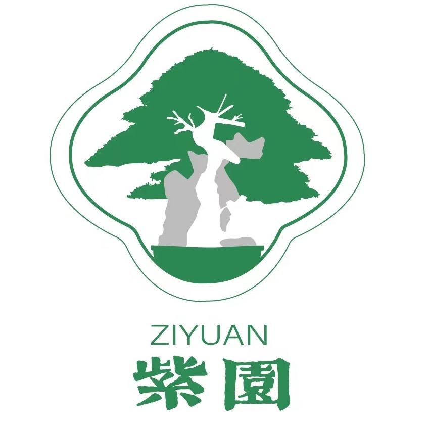 紫园盆栽