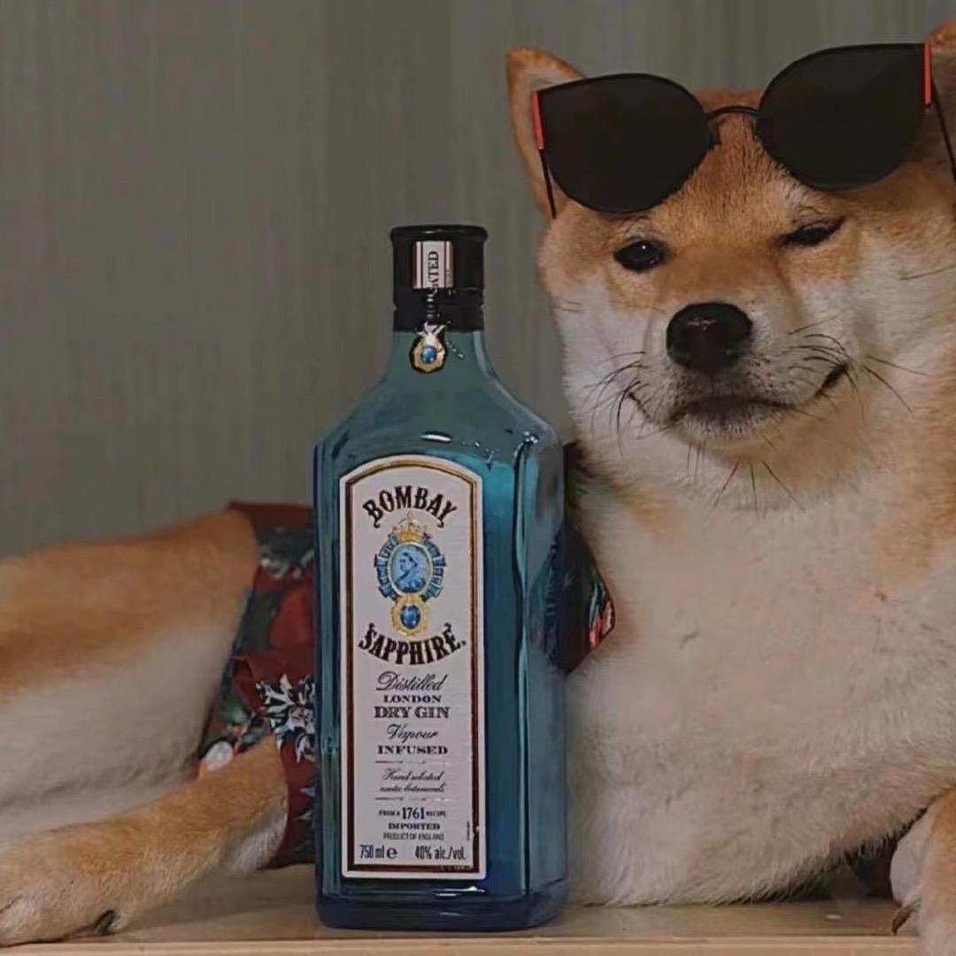 𝓧𝓲𝓐𝓬𝓽𝓸𝓻