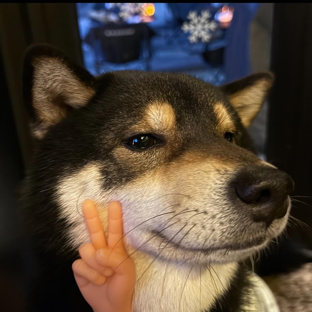 🔥3000🏀⁶⁸¹