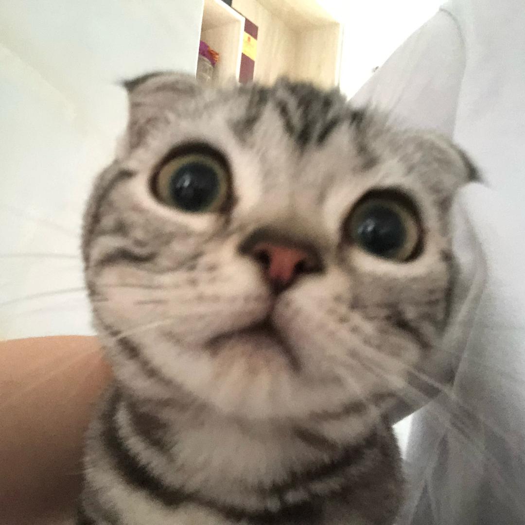 是很拐
