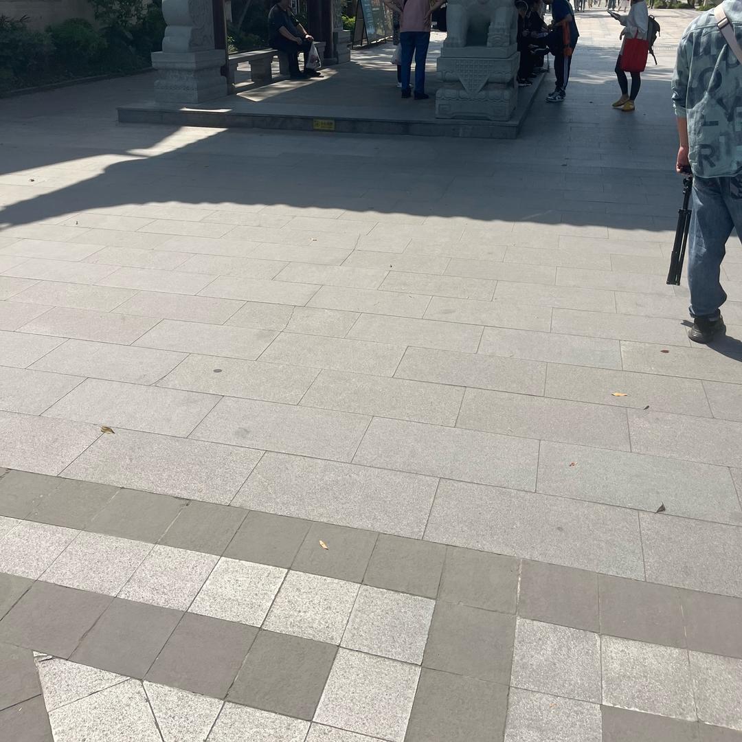 小白萝莉