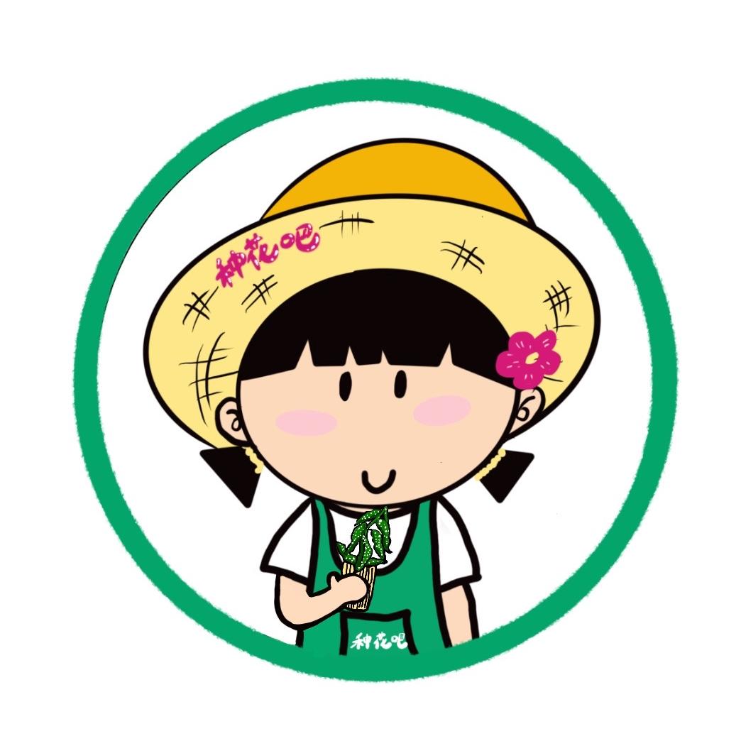 种花吧花卉热植