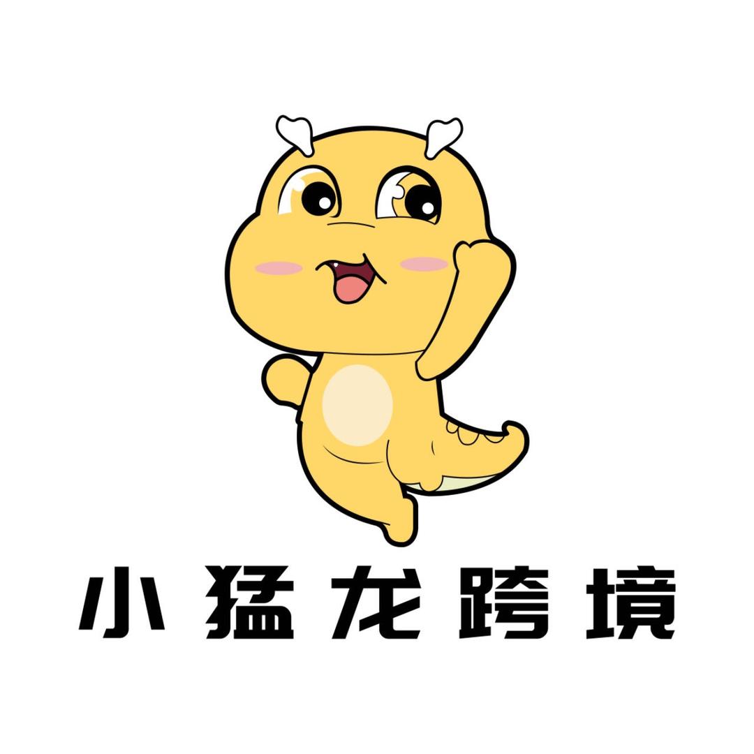 小猛龙跨境分享