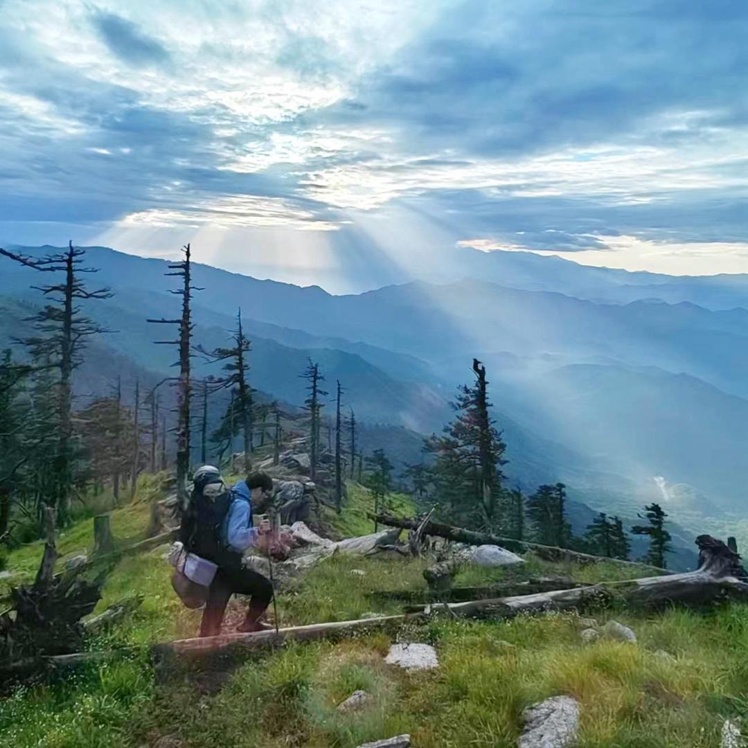 和光同尘时舒卷