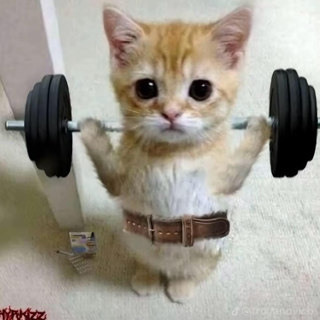 其实最好一半意外