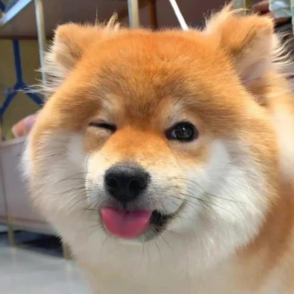 孟孟不爱做梦