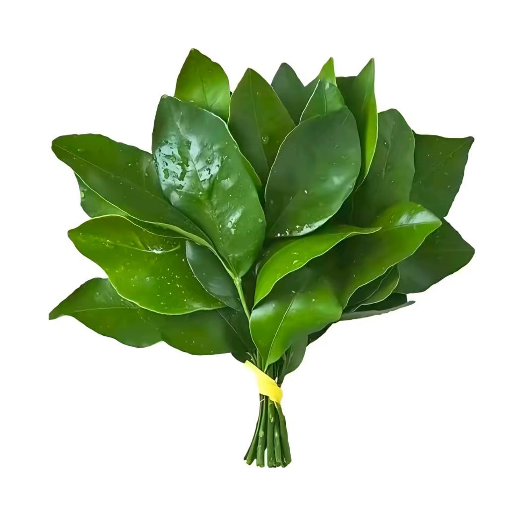 古月（aaa建材胡哥）