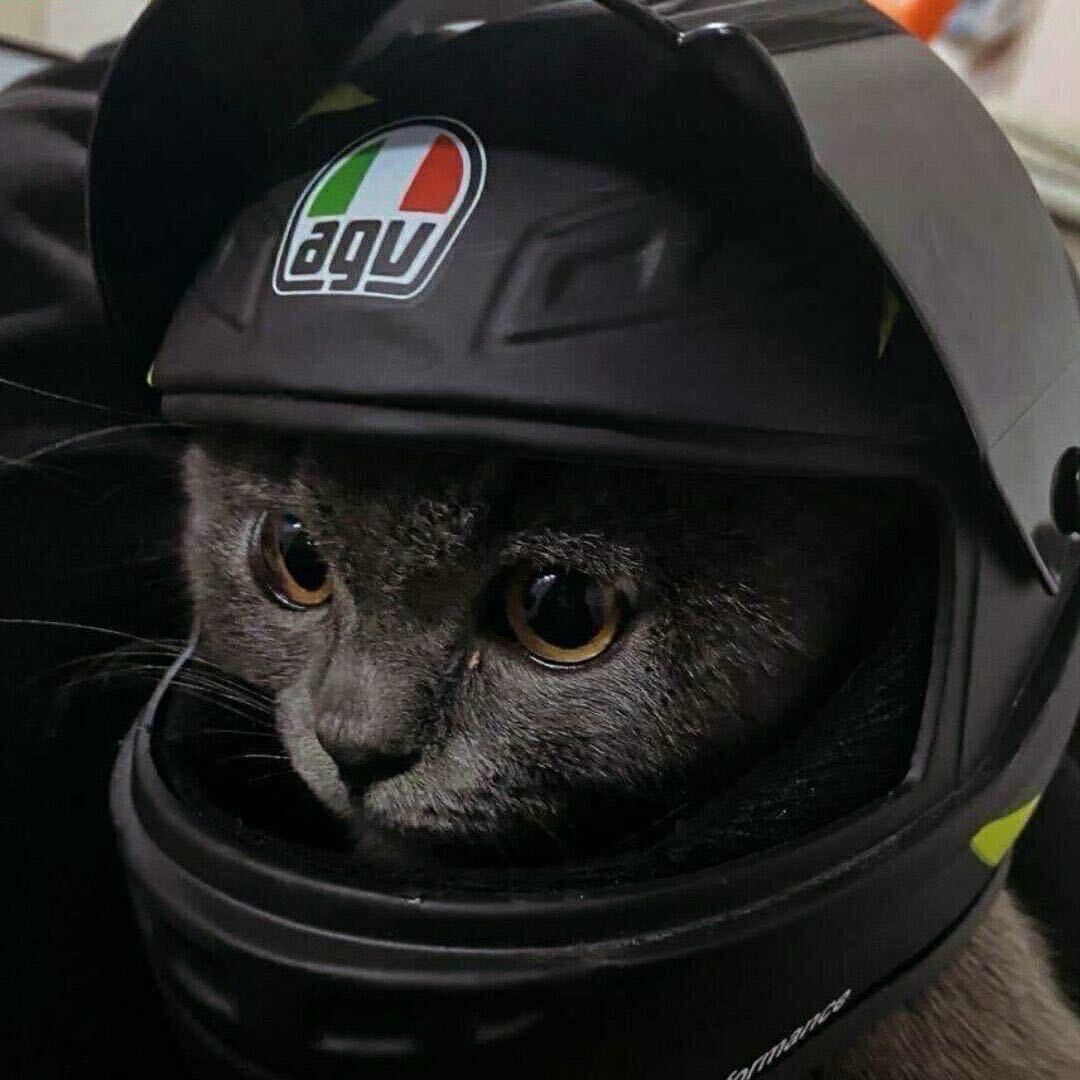 天际.