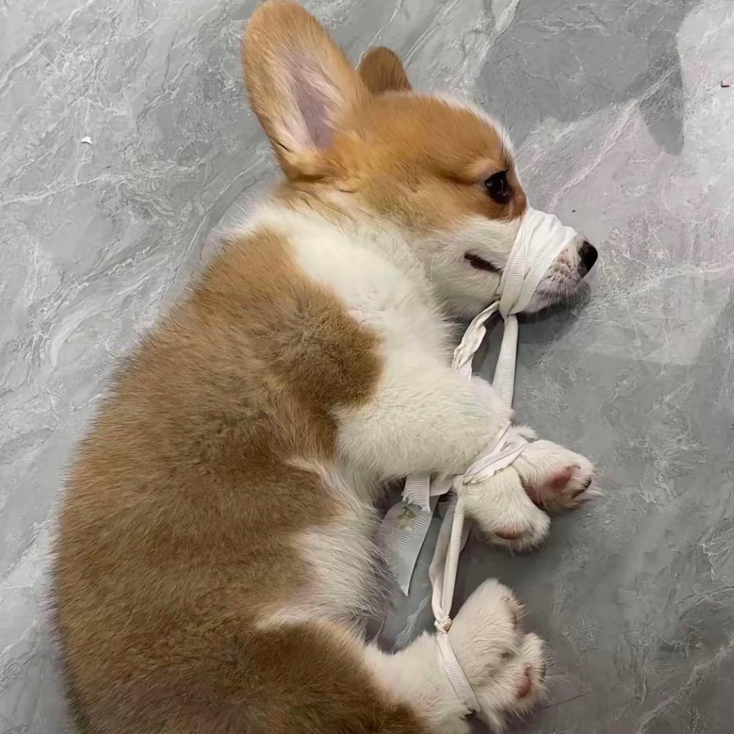 的