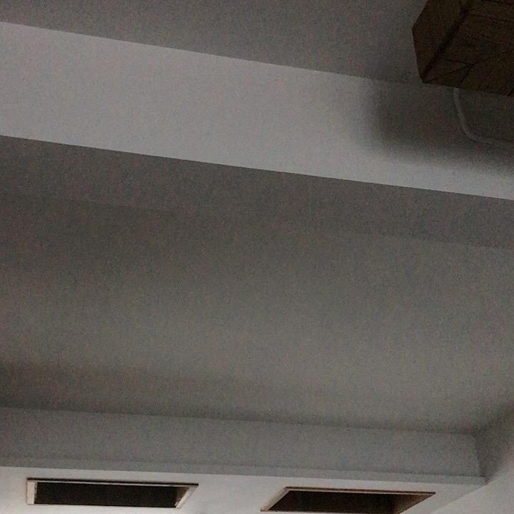 苍梧先生