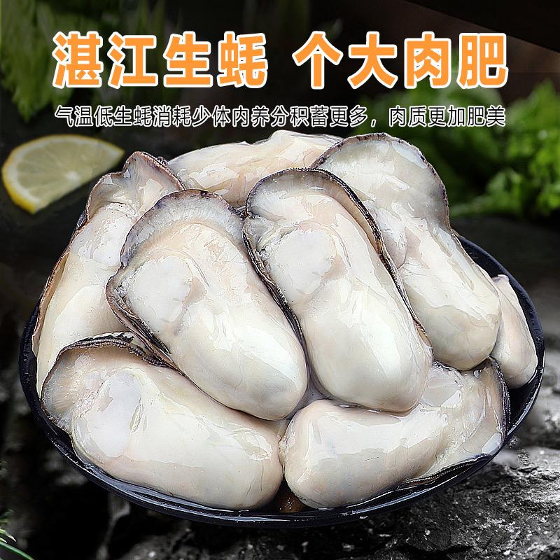 湛江海业生蚝批发