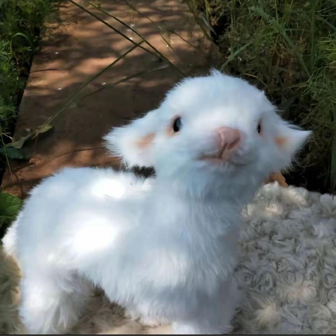 @小赚也叫赚
