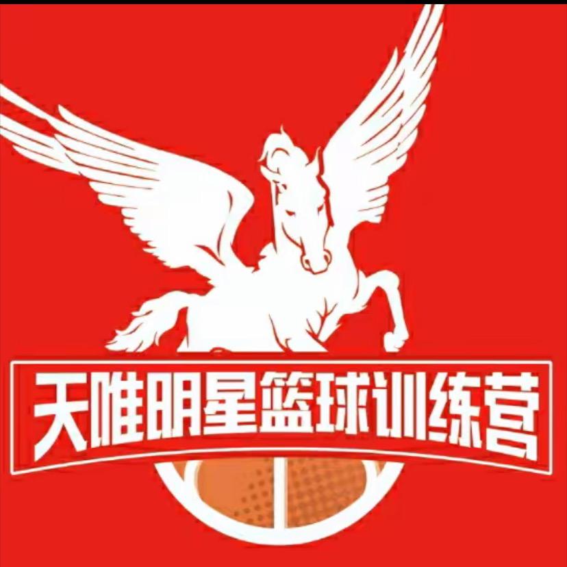 天唯篮球训练营【山东能源】