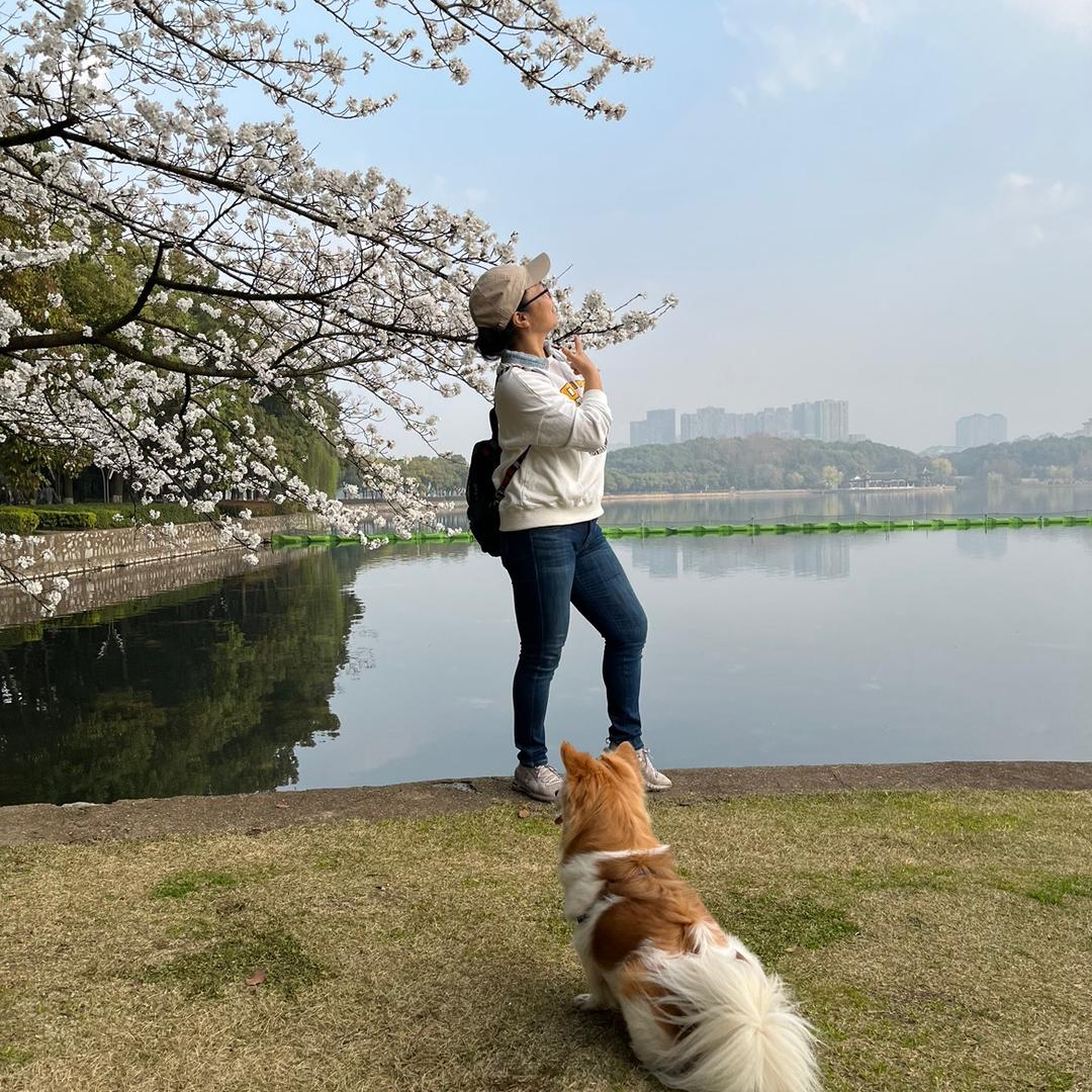 风中语燕