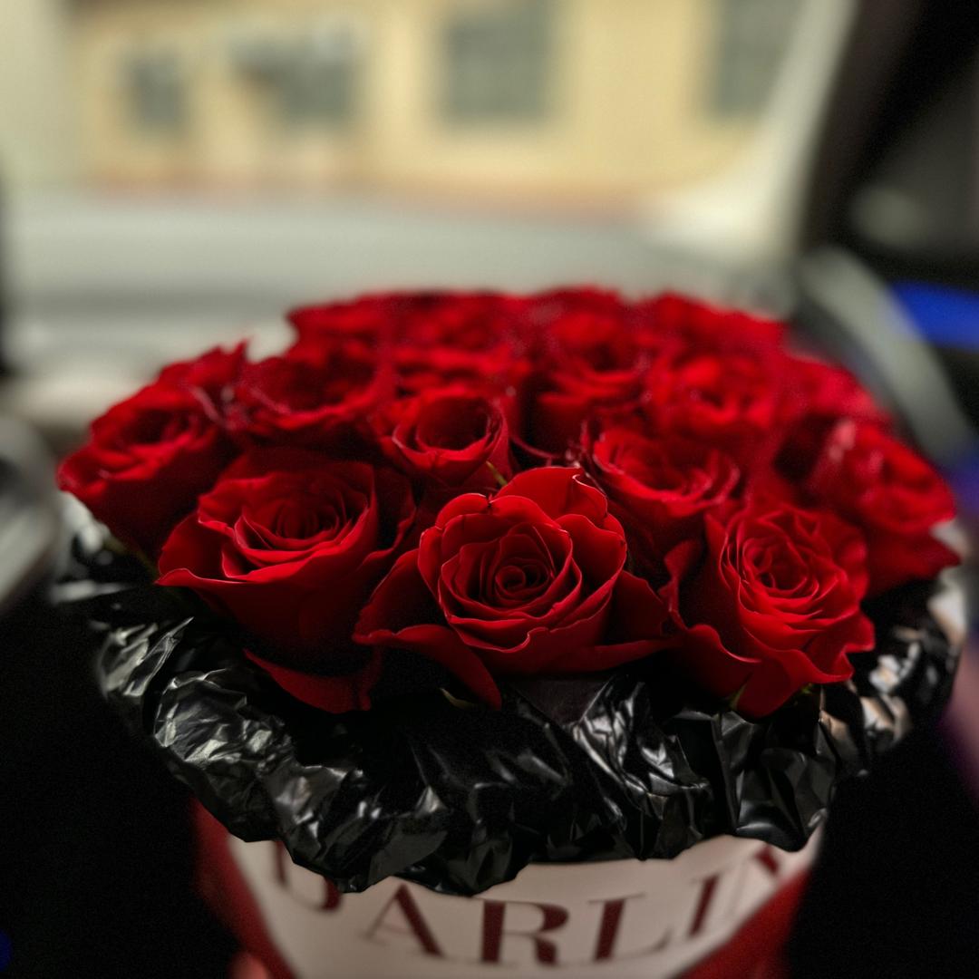 爱听老歌的小女孩👧