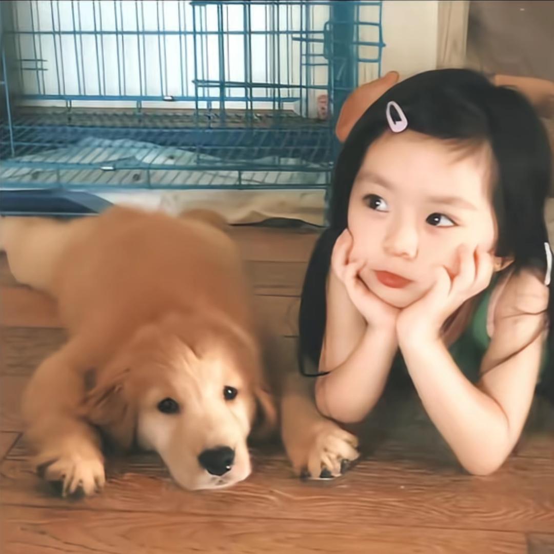 循环